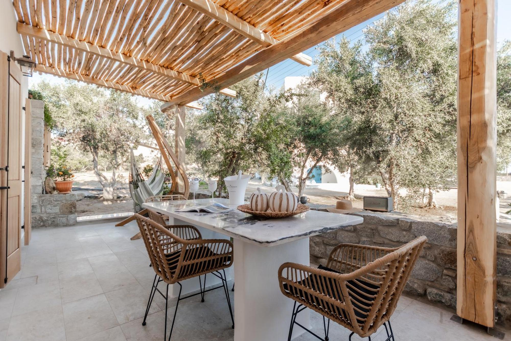Naxian Serenity Suites Agia Anna  Extérieur photo