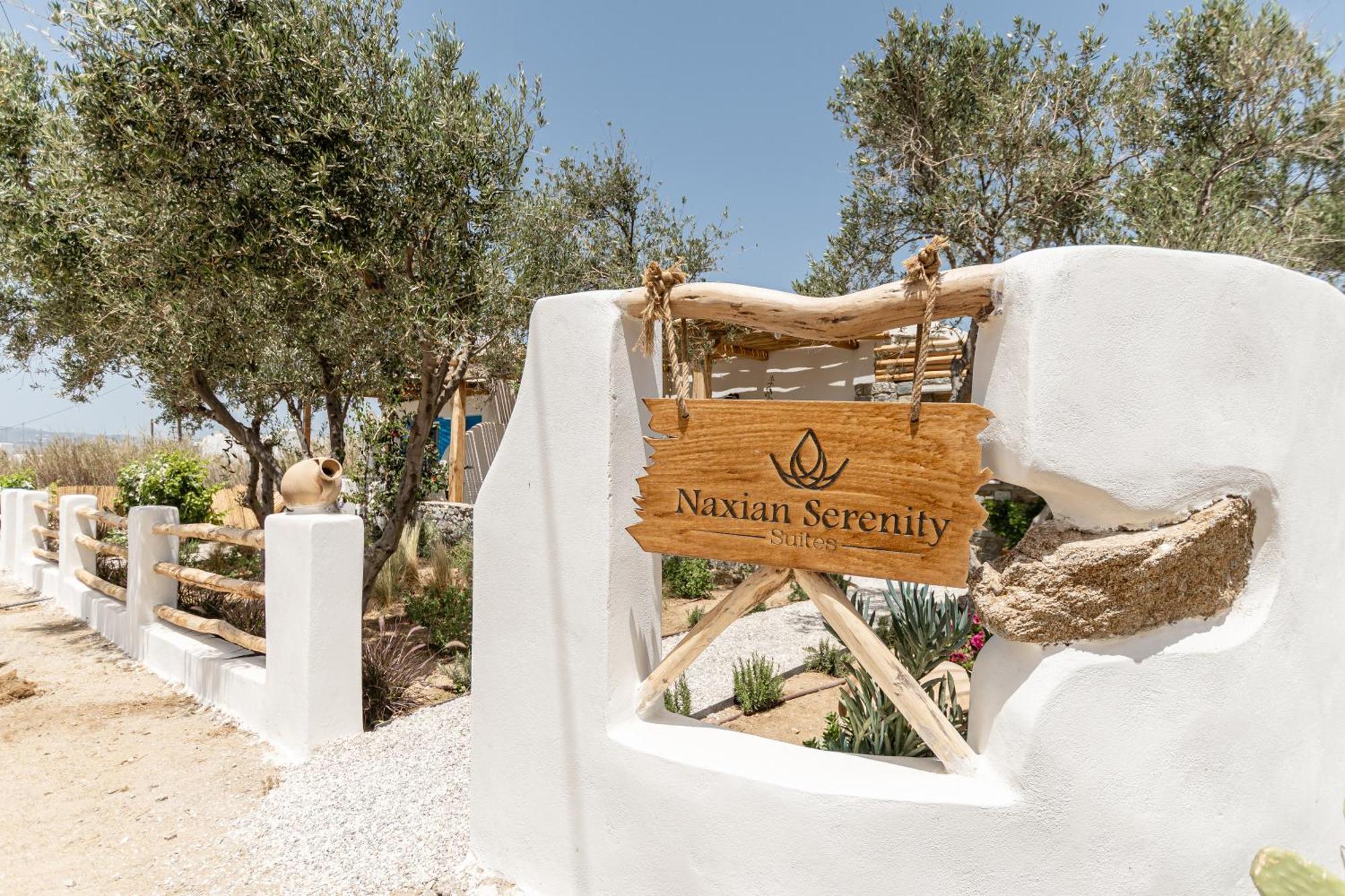 Naxian Serenity Suites Agia Anna  Extérieur photo