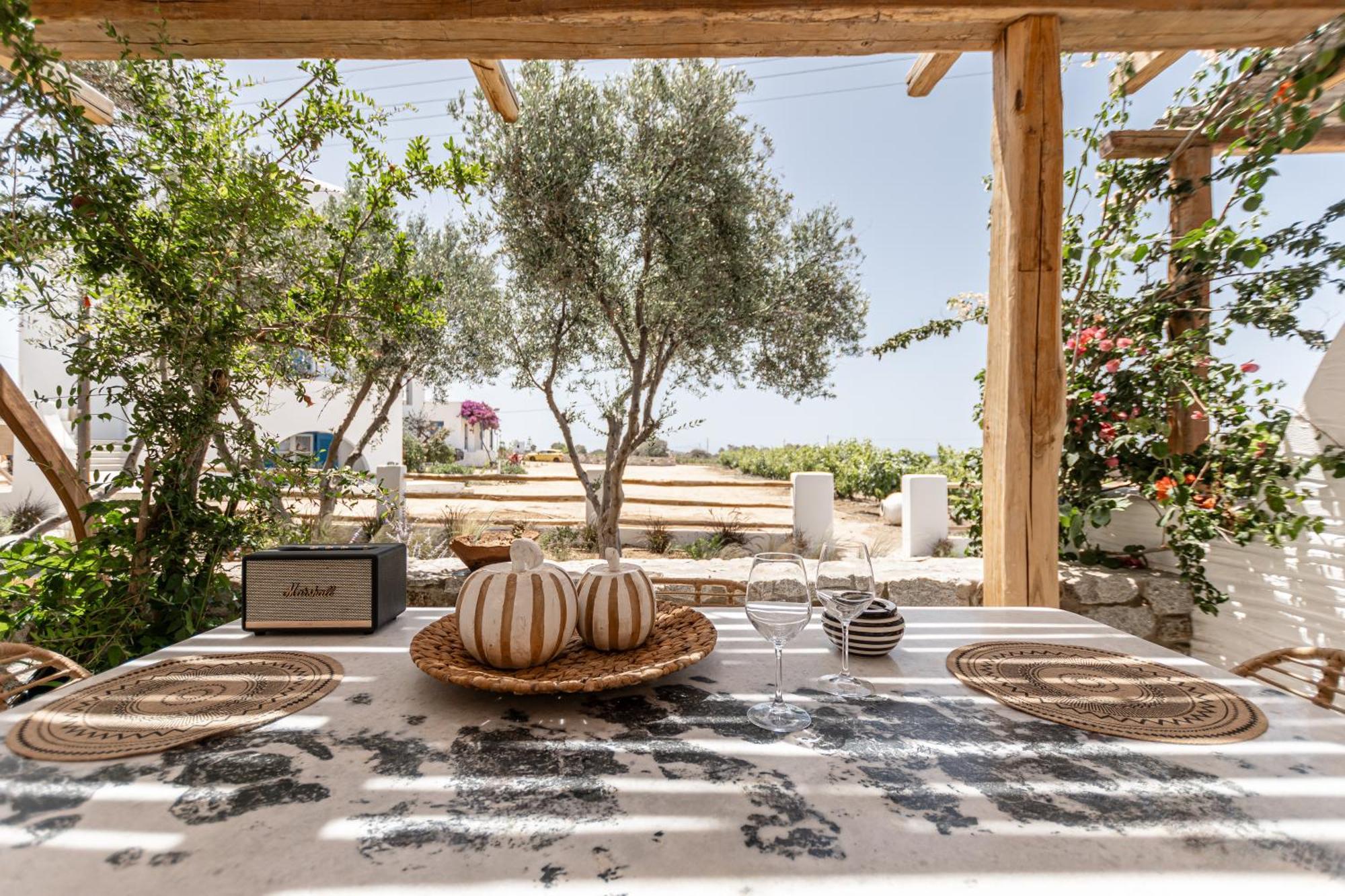 Naxian Serenity Suites Agia Anna  Extérieur photo