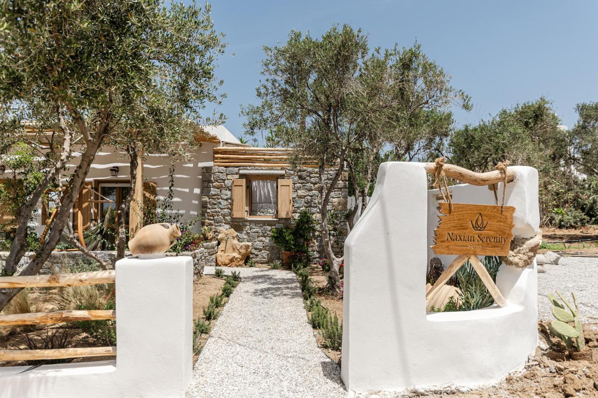 Naxian Serenity Suites Agia Anna  Extérieur photo