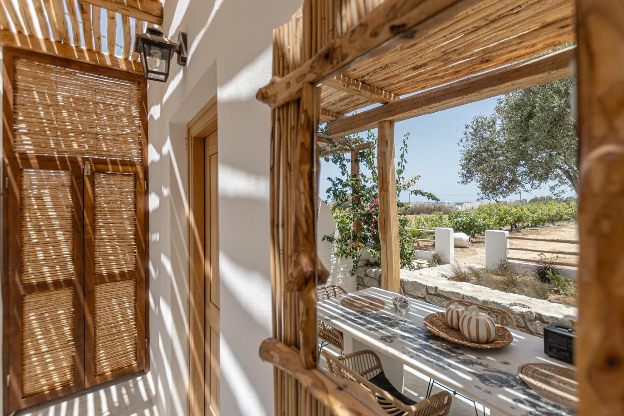 Naxian Serenity Suites Agia Anna  Extérieur photo
