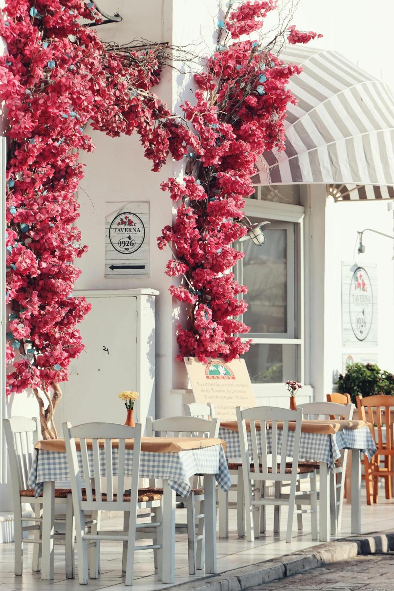 Naxian Serenity Suites Agia Anna  Extérieur photo
